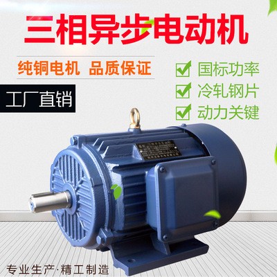 厂家直发三相异步电动机 YE2系列Y2 纯铜 11kw-4 YE2-160M-4