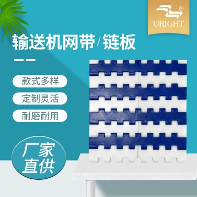 SNB小圆孔塑料链板网带 opb塑料网链 pp塑料模块食品输送带定制